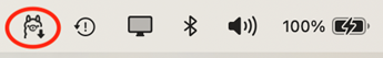 Ollama icon in the taskbar